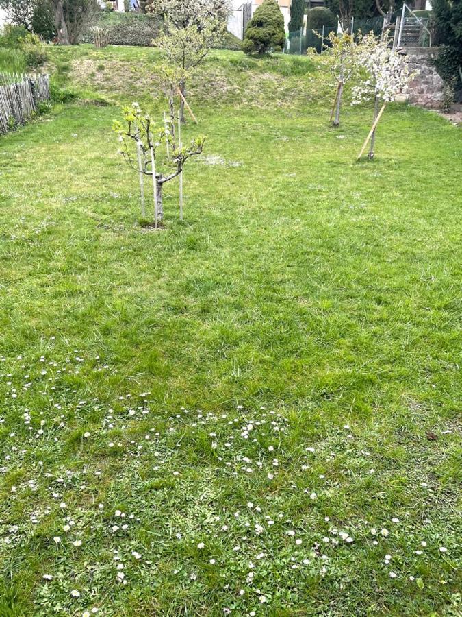 Ferienwohnung Lavendel Lahr  Luaran gambar